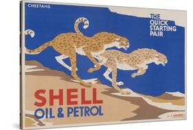Shell Oil & Petrol Cheetahs-null-Stretched Canvas