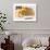 Shell Oil & Petrol Favourites-null-Art Print displayed on a wall