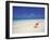 Shell on a Deserted Beach, Maldives, Indian Ocean-Papadopoulos Sakis-Framed Photographic Print