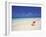 Shell on a Deserted Beach, Maldives, Indian Ocean-Papadopoulos Sakis-Framed Photographic Print