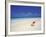 Shell on a Deserted Beach, Maldives, Indian Ocean-Papadopoulos Sakis-Framed Photographic Print