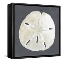 Shell on Slate II-Megan Meagher-Framed Stretched Canvas