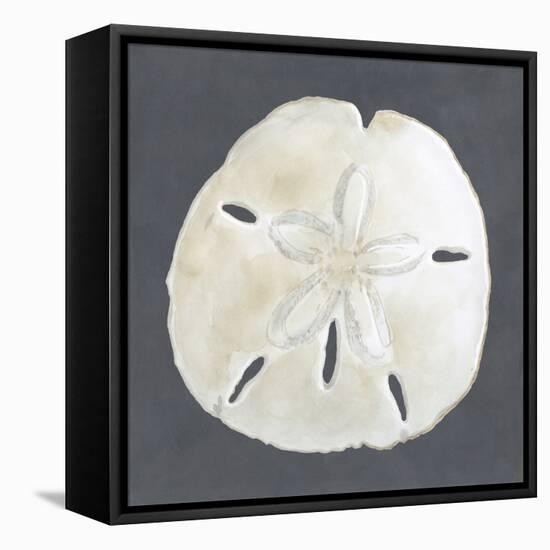 Shell on Slate II-Megan Meagher-Framed Stretched Canvas