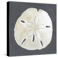 Shell on Slate II-Megan Meagher-Stretched Canvas