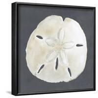 Shell on Slate II-Megan Meagher-Framed Art Print