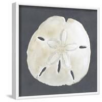 Shell on Slate II-Megan Meagher-Framed Art Print