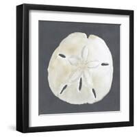 Shell on Slate II-Megan Meagher-Framed Art Print