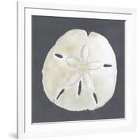 Shell on Slate II-Megan Meagher-Framed Art Print