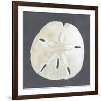 Shell on Slate II-Megan Meagher-Framed Art Print