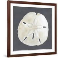 Shell on Slate II-Megan Meagher-Framed Art Print