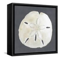 Shell on Slate II-Megan Meagher-Framed Stretched Canvas