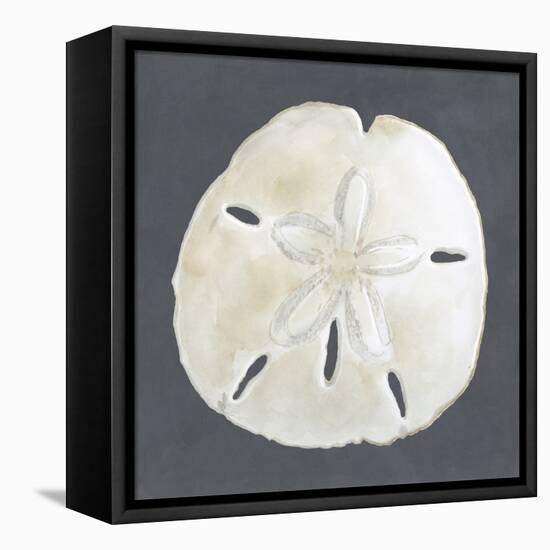Shell on Slate II-Megan Meagher-Framed Stretched Canvas