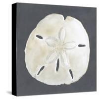 Shell on Slate II-Megan Meagher-Stretched Canvas