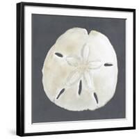 Shell on Slate II-Megan Meagher-Framed Giclee Print
