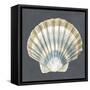 Shell on Slate III-Megan Meagher-Framed Stretched Canvas