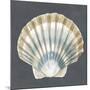 Shell on Slate III-Megan Meagher-Mounted Art Print