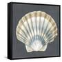 Shell on Slate III-Megan Meagher-Framed Stretched Canvas