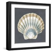 Shell on Slate III-Megan Meagher-Framed Art Print