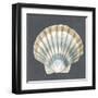 Shell on Slate III-Megan Meagher-Framed Art Print