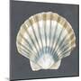 Shell on Slate III-Megan Meagher-Mounted Art Print