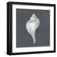 Shell on Slate IV-Megan Meagher-Framed Art Print