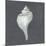 Shell on Slate IV-Megan Meagher-Mounted Premium Giclee Print