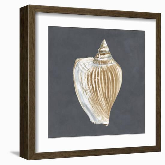 Shell on Slate VI-Megan Meagher-Framed Art Print