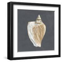 Shell on Slate VI-Megan Meagher-Framed Art Print