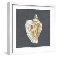 Shell on Slate VI-Megan Meagher-Framed Art Print