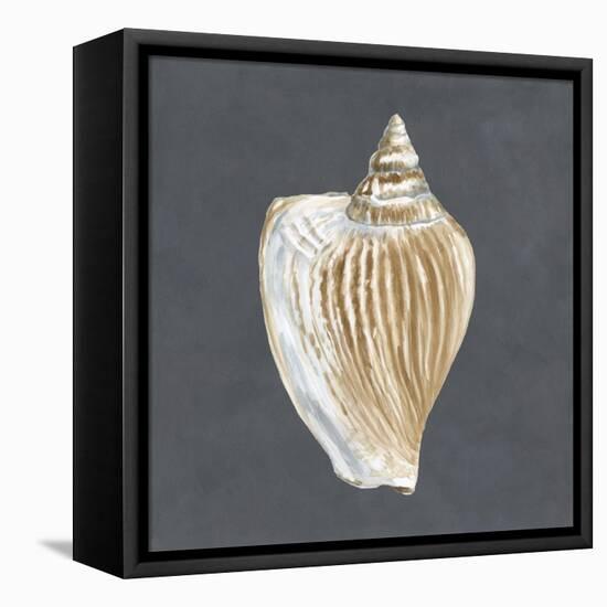 Shell on Slate VI-Megan Meagher-Framed Stretched Canvas