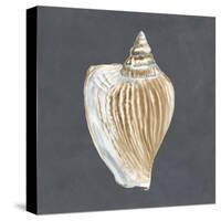 Shell on Slate VI-Megan Meagher-Stretched Canvas