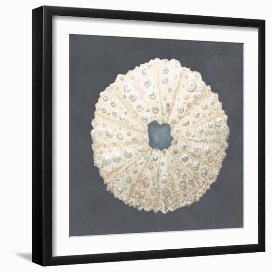 Shell on Slate VII-Megan Meagher-Framed Art Print