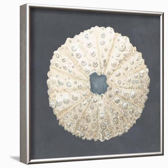 Shell on Slate VII-Megan Meagher-Framed Art Print