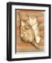 Shell on Stripes II-Laura Nathan-Framed Art Print