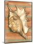 Shell on Stripes II-Laura Nathan-Mounted Art Print