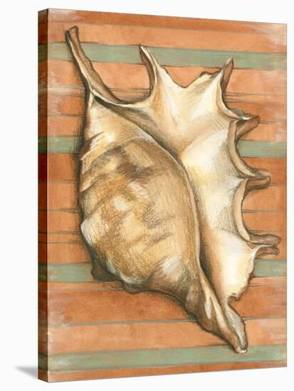 Shell on Stripes II-Laura Nathan-Stretched Canvas