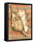 Shell on Stripes II-Laura Nathan-Framed Stretched Canvas