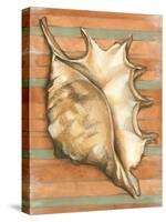 Shell on Stripes II-Laura Nathan-Stretched Canvas