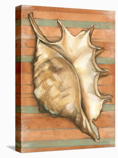 Shell on Stripes II-Laura Nathan-Stretched Canvas