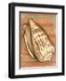 Shell on Stripes III-Laura Nathan-Framed Art Print