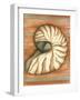 Shell on Stripes IV-Laura Nathan-Framed Art Print