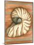 Shell on Stripes IV-Laura Nathan-Mounted Art Print