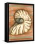 Shell on Stripes IV-Laura Nathan-Framed Stretched Canvas