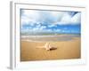 Shell on the Beach-null-Framed Photographic Print