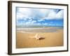 Shell on the Beach-null-Framed Photographic Print