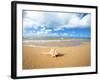 Shell on the Beach-null-Framed Photographic Print