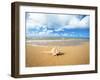 Shell on the Beach-null-Framed Photographic Print