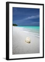 Shell on Tropical Beach, Maldives, Indian Ocean, Asia-Sakis Papadopoulos-Framed Photographic Print