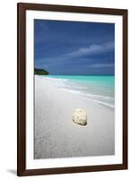 Shell on Tropical Beach, Maldives, Indian Ocean, Asia-Sakis Papadopoulos-Framed Photographic Print