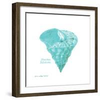 Shell on White III-Gwendolyn Babbitt-Framed Art Print